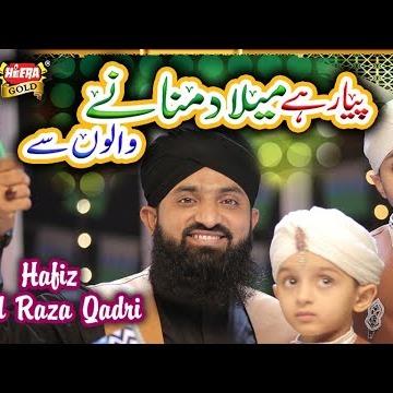 Nasheeds