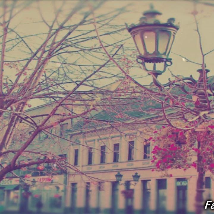 Nasheeds