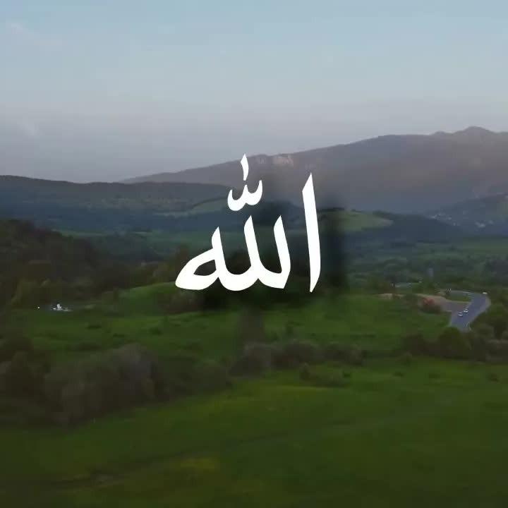 Nasheeds