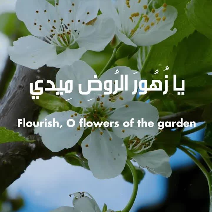 Nasheeds