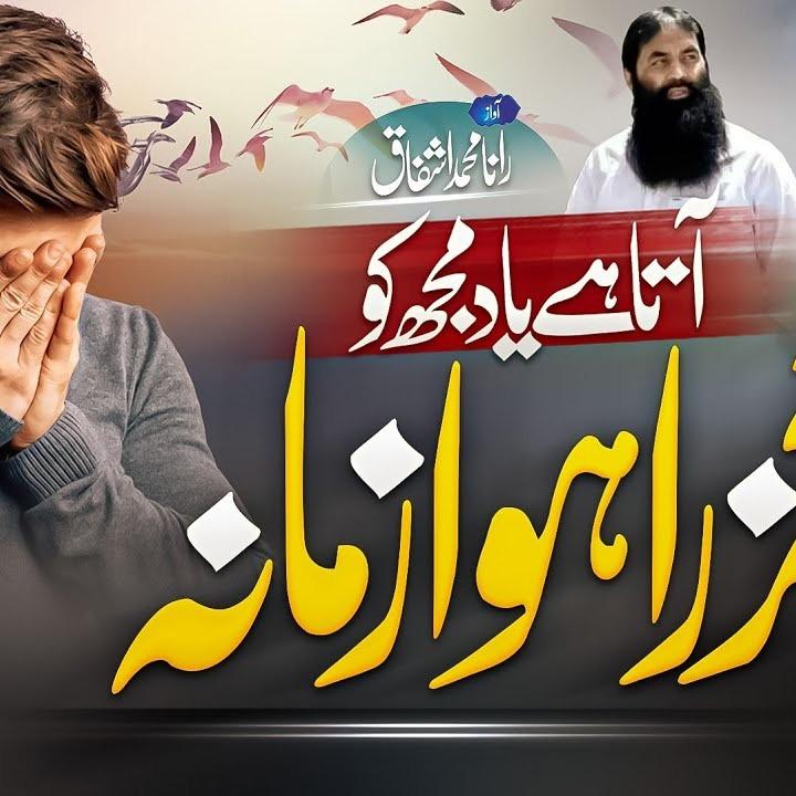 Nasheeds