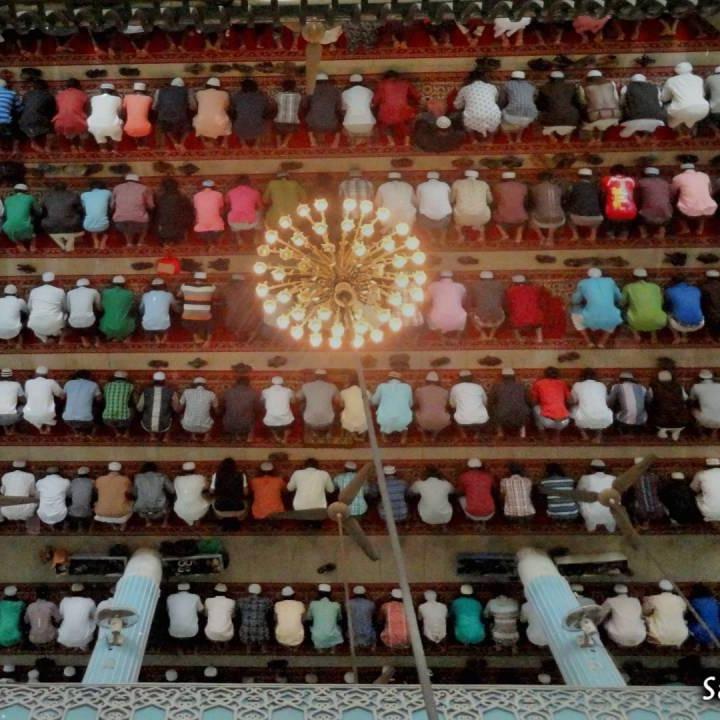 Nasheeds