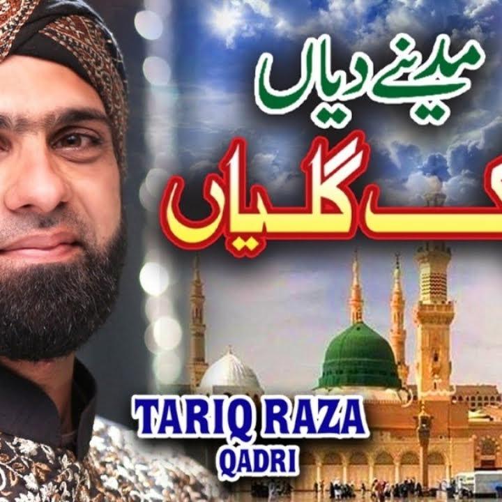 Tariq Raza Qadri
