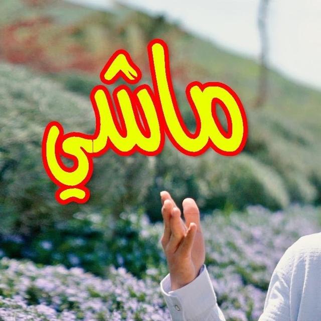 Moumen Aljinani