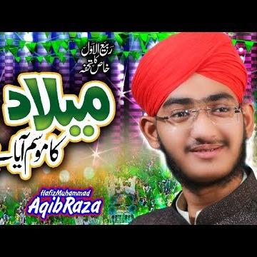 Hafiz Muhammad Aqib Raza