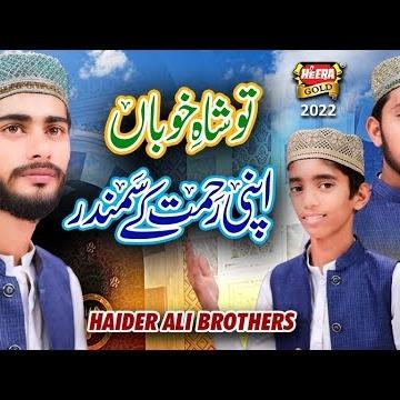 Haider Ali Brothers