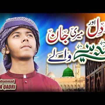 Muhammad Ali Raza Qadri