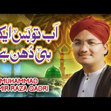 Muhammad Amir Raza Qadri