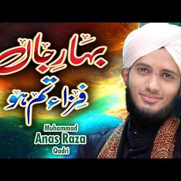Muhammad Anas Raza Qadri