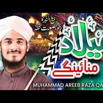 Muhammad Areeb Raza Qadri