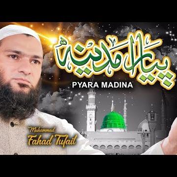 Muhammad Fahad Tufail