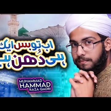 Muhammad Hammad Raza Qadri