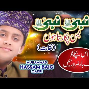 Muhammad Hassam Baig Qadri