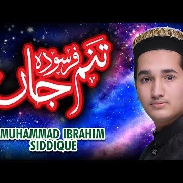 Muhammad Ibrahim Siddique