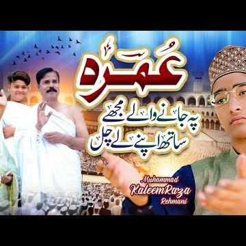 Muhammad Kaleem Raza