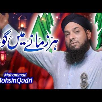 Muhammad Mohsin Qadri