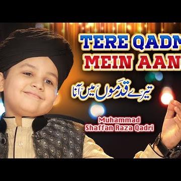 Muhammad Shaffan Raza Qadri