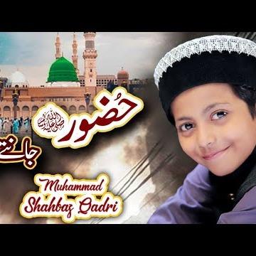 Muhammad Shahbaz Qadri