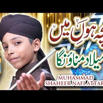 Muhammad Shaheer Nafi Attari