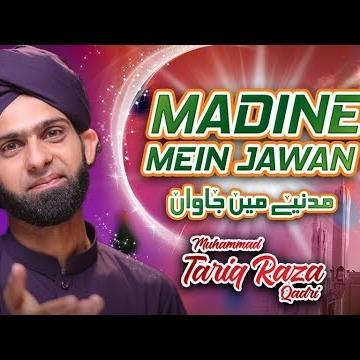 Muhammad Tariq Raza Qadri