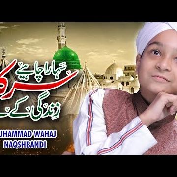 Muhammad Wahaj Naqshbandi