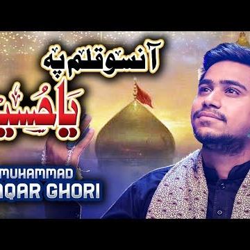 Muhammad Waqar Ghori