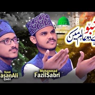 Syed Hasan Ali & Muhammad Fazil Sabri