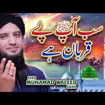 Syed Muhammad Waleed Shah