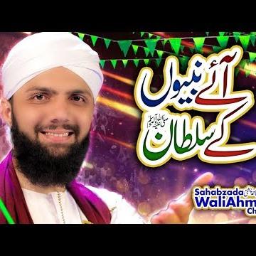Wali Ahmed Chishti