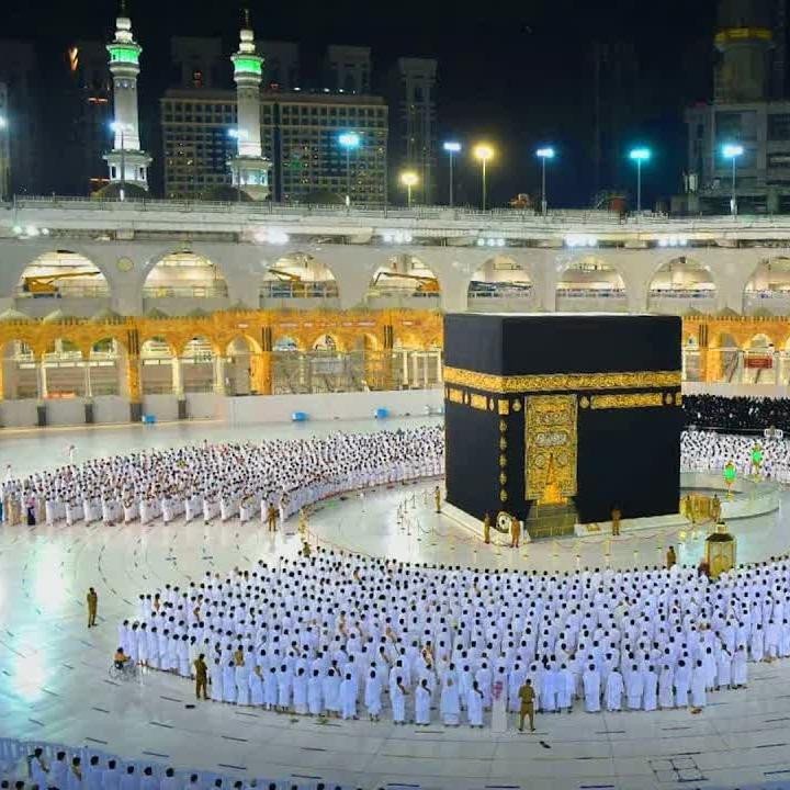 Nasheeds