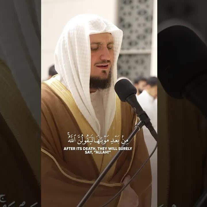 Nasheeds
