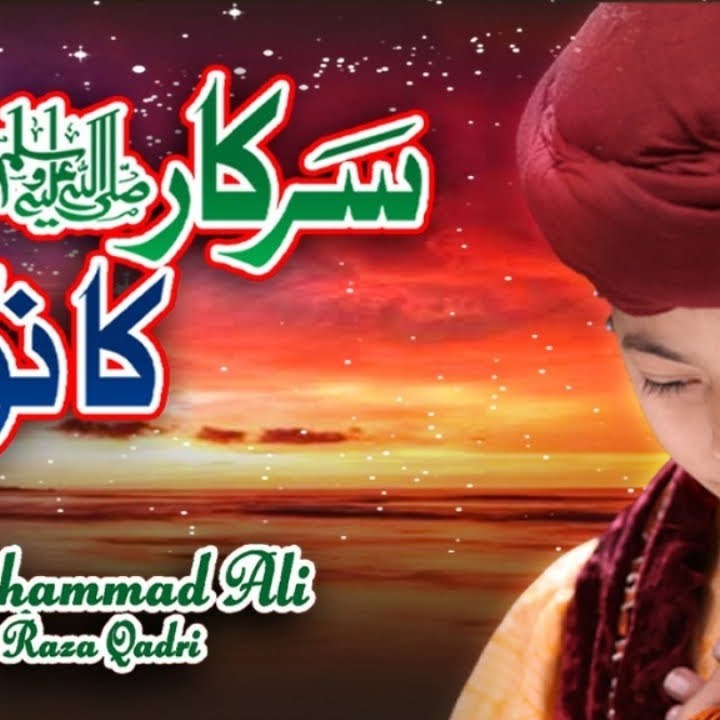 Sarkar Ka Nokar Hun cover art